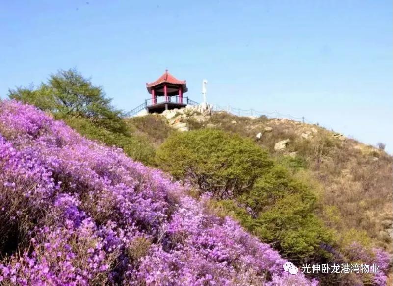 南宫电竞 - 神秘东方力量,造霸电竞战场